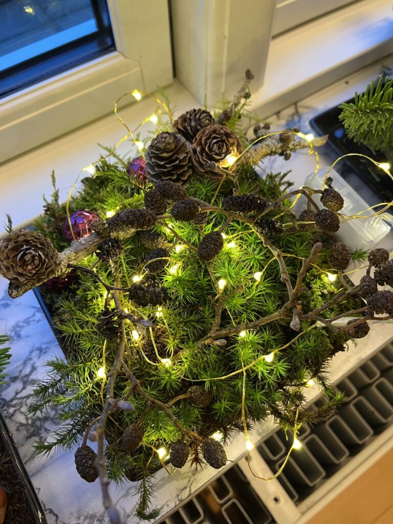 Adventsdekoration med kogler, grene og lyskæde